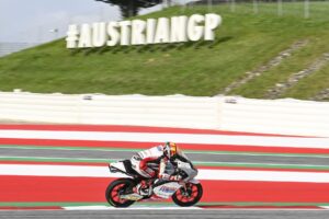 austrian_08